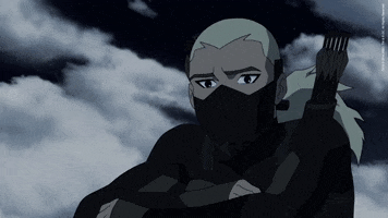 Young Justice Yes GIF by DC