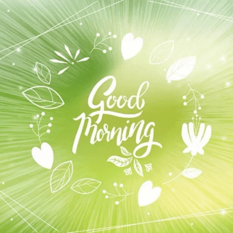 Good Morning GIF