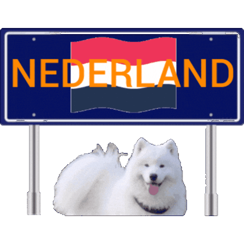 Amsterdam Netherlands Sticker