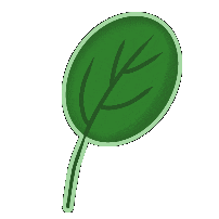 Green Sticker