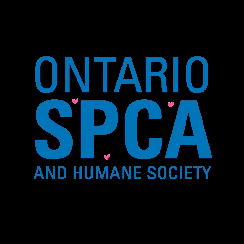 Ontario SPCA GIF