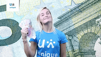 UniqueNederland euro geld euros tellen GIF