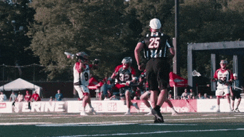 Boston Cannons GIF