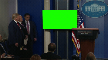 Trump GIF