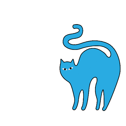 Cat Sticker