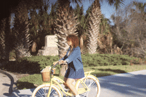 merry  GIF