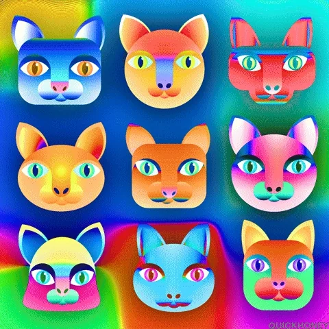 Mad Cat GIF by PEEKASSO