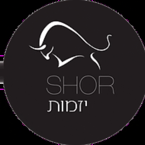shorinvest GIF