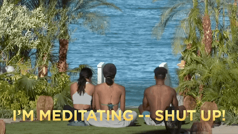 Meditating Fox Tv GIF by Paradise Hotel - Find & Share on GIPHY