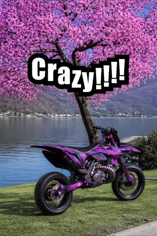 Crazy GIF