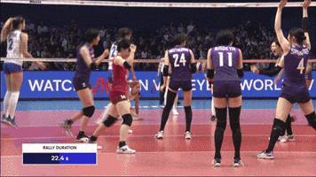 Happy United GIF by Volleyball World