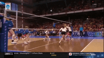 volleyball nebraska GIF by NCAA Championships
