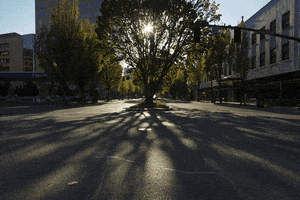 Oregon GIF