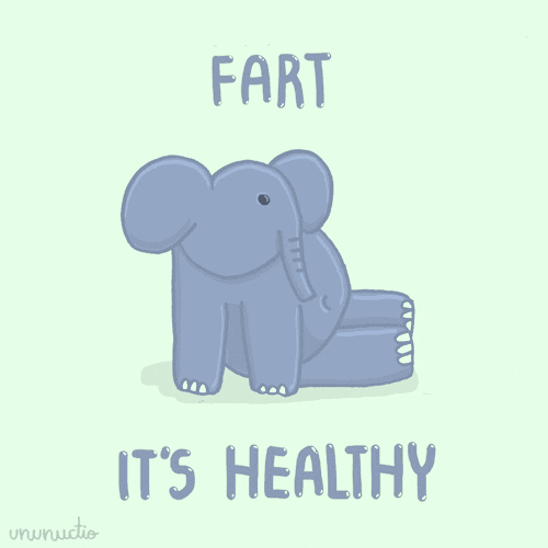 elephant passing gas