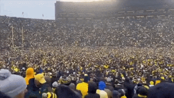 College Football GIF by Storyful