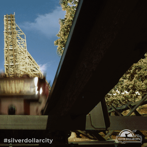 silverdollarcity happy smile excited smiling GIF
