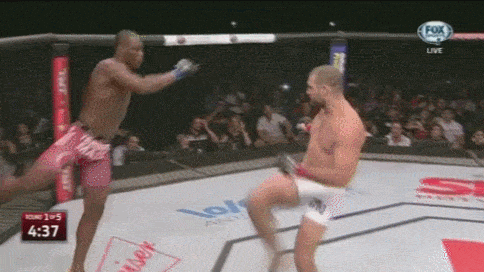 fight