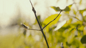 Beans GIF by FILMRISE