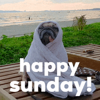 Sunday-fun GIFs - Get the best GIF on GIPHY