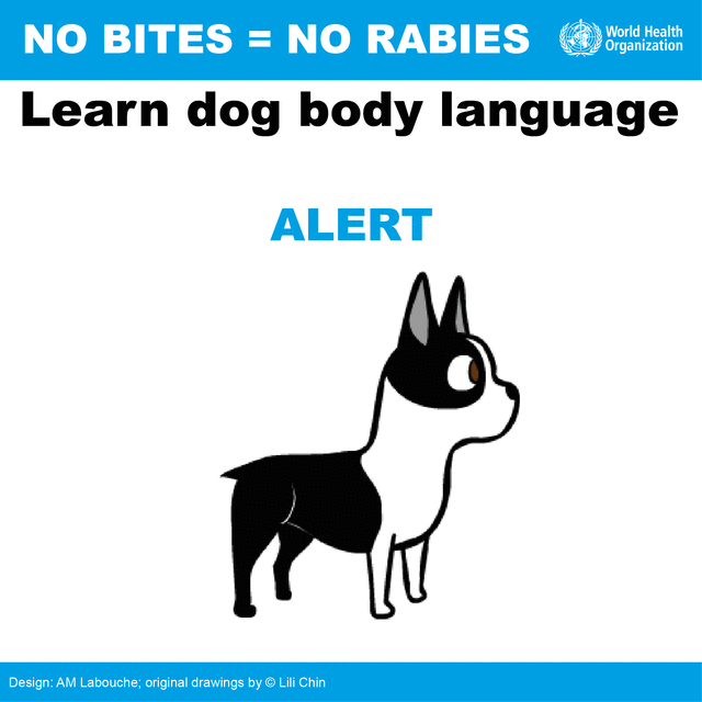 Disease Prevention Rabies GIF by World Health Organization