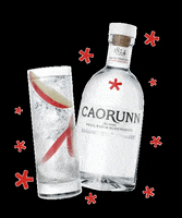 gin and tonic GIF by Caorunn Gin