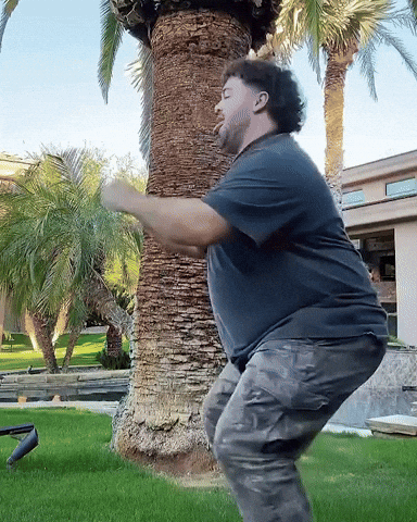 Funny GIF by eliemagic