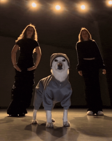 Dawg GIF