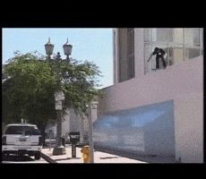 GIF by Brett A Mauri