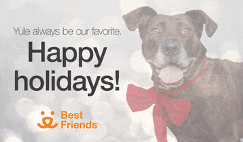 Happy Merry Christmas GIF by Best Friends Animal Society