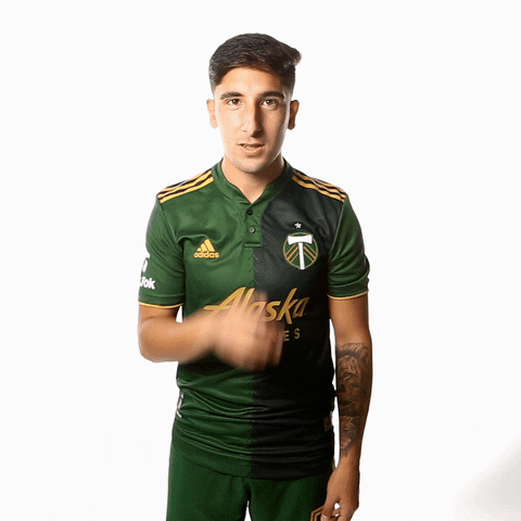 Be Quiet Portland Timbers GIF by Timbers