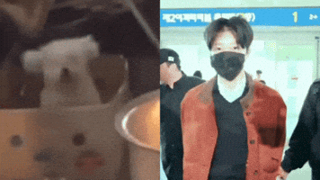 Nct Dream Puppy GIF