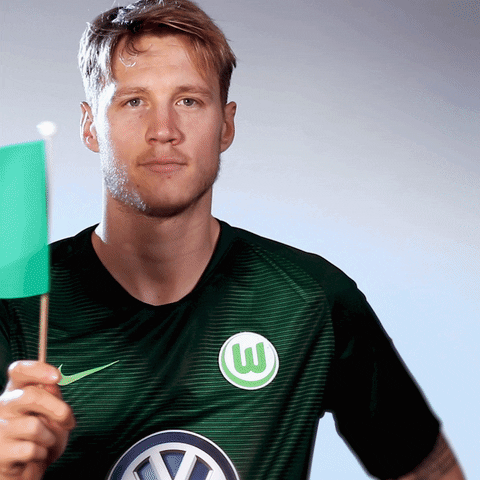 football waving GIF by VfL Wolfsburg