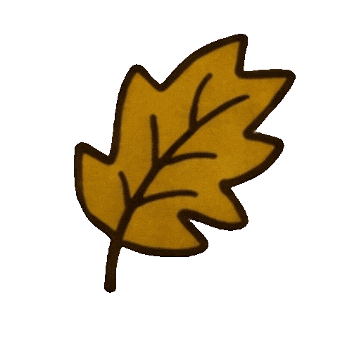 Augustoyantonela Sticker by Explora la Magia
