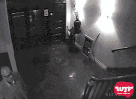 Like A Boss Wtfonline GIF