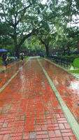 plaza of the americas rain GIF