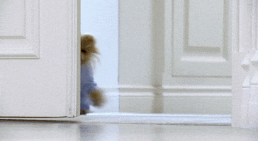 real housewives dog GIF by RealityTVGIFs