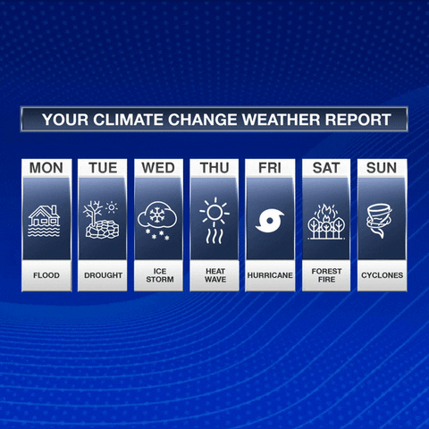 Climate Change Friday GIF by INTO ACTION