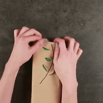 apps  GIF