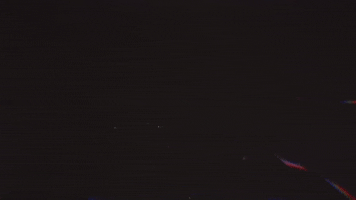 Savages GIF by RØYLS