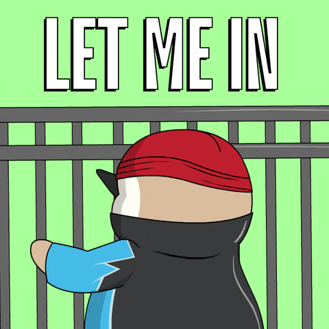 Let Me In Penguin GIF by Pudgy Penguins