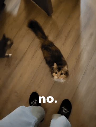 No GIF
