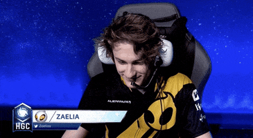 see heroes of the storm GIF by dignitas