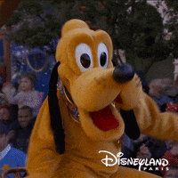 Dog Dancing GIF by Disneyland Paris