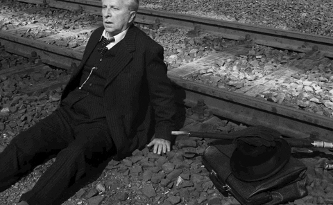 giphy.gif?cid=6c09b952c8ynzneon1iopx0exi