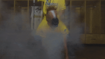 Save A Horse Hawyee GIF by The Savannah Bananas
