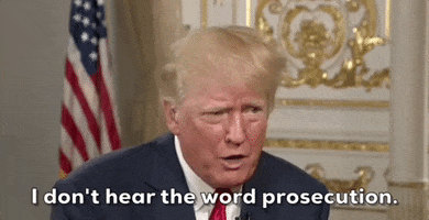 Prosecute Donald Trump GIF by GIPHY News
