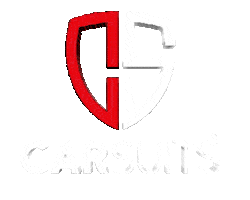 Car Suits Sticker