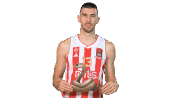 Kkcz Delije Sticker by BC Crvena zvezda