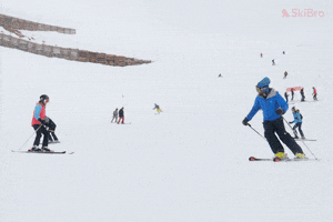 SkiBro GIF