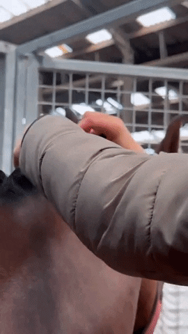 Quick Knot GIF